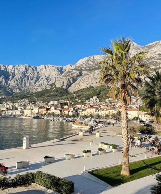 Apartman Magnolia Makarska Zewnętrze zdjęcie